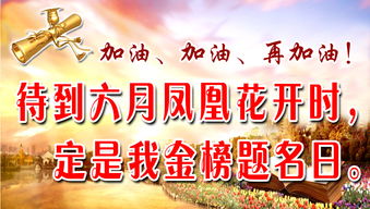 高考励志金句