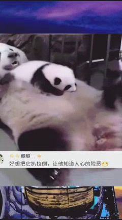 哼组什么词