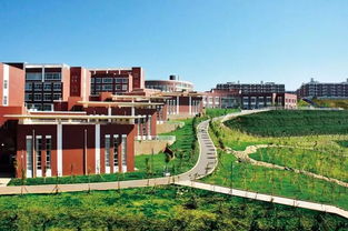 云南大学滇池学院学费艺术生，云南大学滇池学院学费包括住宿费吗