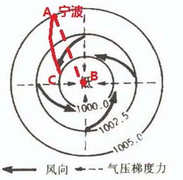 什么风什么动的四字成语，什么风什么动的词语