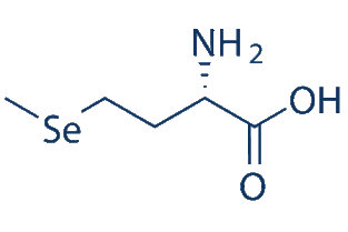 Methionine 翻译，Methionine cycle