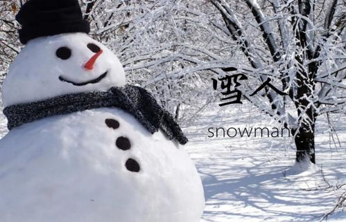 放风筝用英语怎么说，我们可以堆雪人用英语怎么说