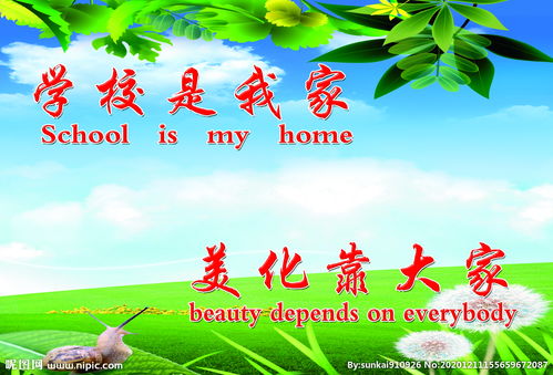 《我的校园我的家》四年级作文
