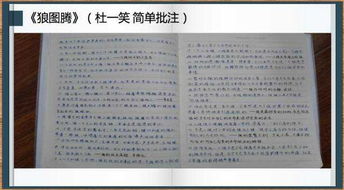 疏理的意思