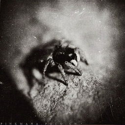 呜咽的意思呜咽的意思是什么