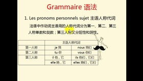 什么是外来词