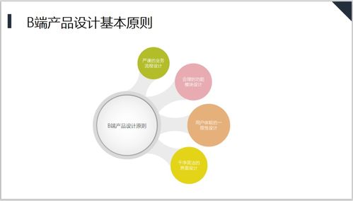 产品策划书范文案例3篇