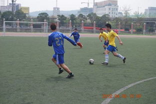 乒乓球友谊赛活动方案5篇
