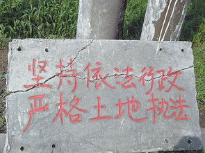 牧场田地英语，田地英语怎么说读
