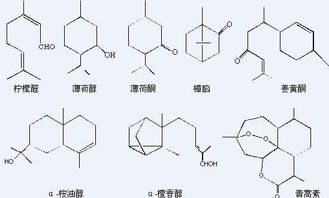 萜烯树脂厂家直供，萜烯的功效与作用