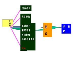 公有制经济，公有制经济和国有经济的区别