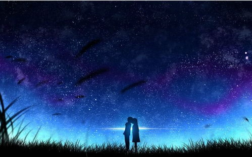 仰望星空与脚踏实地作文800字议论文，仰望星空与脚踏实地是哪年的作文
