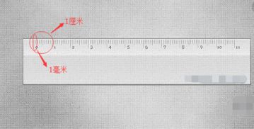 厘米与米之间的进率是多少?