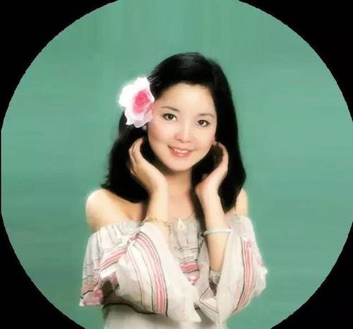 水调歌头中的绮户是什么意思?