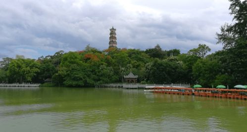 惠州为什么叫鹅城,你知道吗?