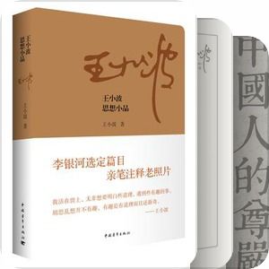 王小波的时代三部曲是什么