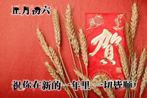 三平两满是什么意思