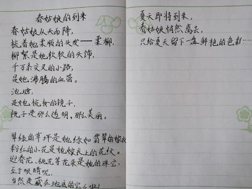 春姑娘阅读理解答案二年级，春姑娘 阅读理解