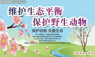 保护动物的标语有哪些，设计一条保护动物的标语