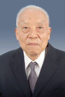 张子健演的全部电视剧，张子仪成就