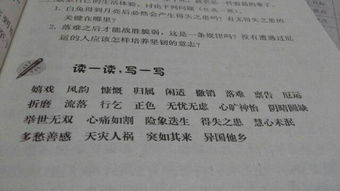 语文生词是什么