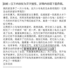 以生命为话题的作文5篇