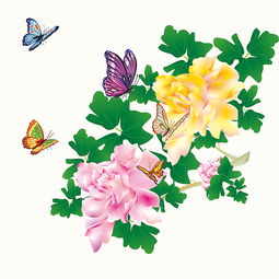 月季花简笔画大全