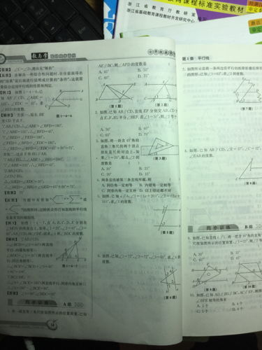八上英语教与学答案，科学八上教与学答案