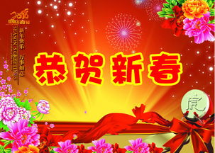 春节的简短介绍