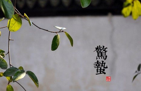 什么是惊蛰?