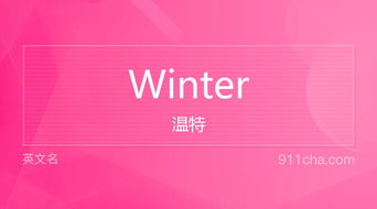 winter什么意思