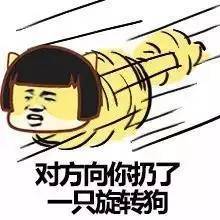 扔的笔顺，扔东西