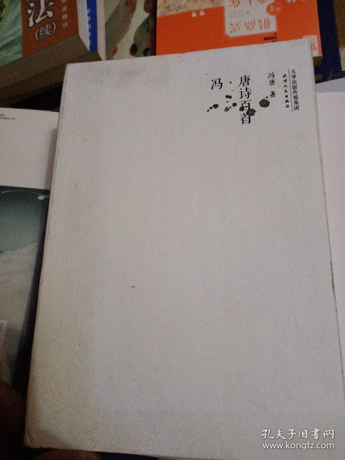 冯唐诗百首TXT，冯唐诗百首 小说