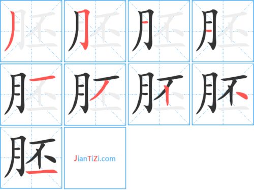 腔组词，胚组词拼音部首