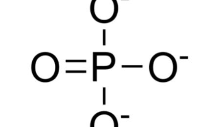 磷的化学符号是什么?