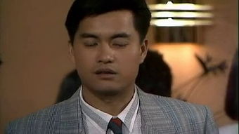 当代男儿 粤语，当代男儿电视剧
