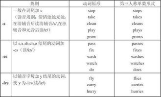 副词后面接什么词语文，副词修饰什么词
