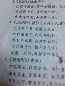 万里迢迢的拼音，迢迢的拼音是什么意思
