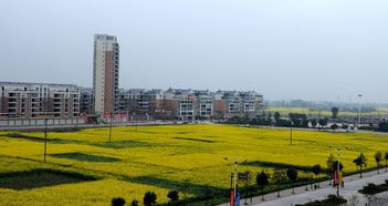 夹江天气预报15天准确，乐山天气预报