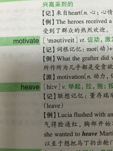 英语中vi和vt指什么