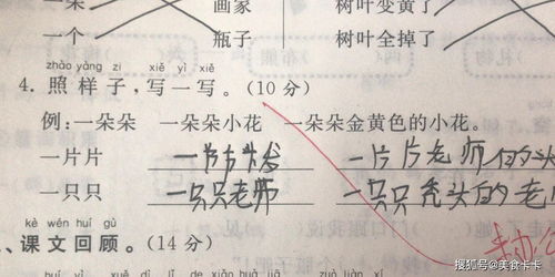 地方造句-用地方造句