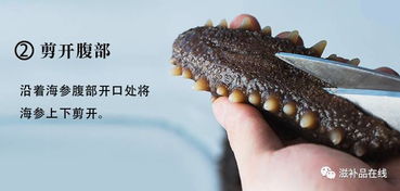 男人长期吃海参的好处，三伏天吃海参的好处