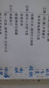 狼的翻译文言文。