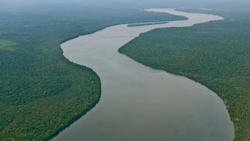 世界第一大河和第二大河是什么河，世界第一大河叫什么名字