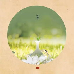 一水护田将绿绕后面一句是什么