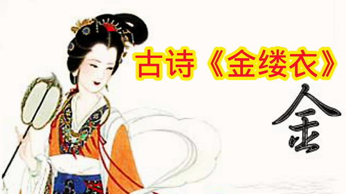 《金缕衣》古诗无名氏拼音，金缕衣古诗杜秋娘