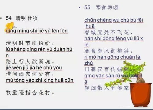 熬夜是什么