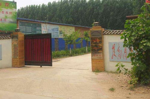 农业合作社响亮的名字免费，合作社取名字大全免费