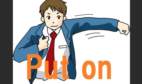 put 是什么意思