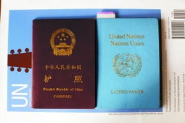 怎么获得联合国护照